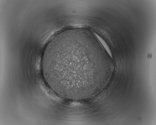 X0000113560596200910021556