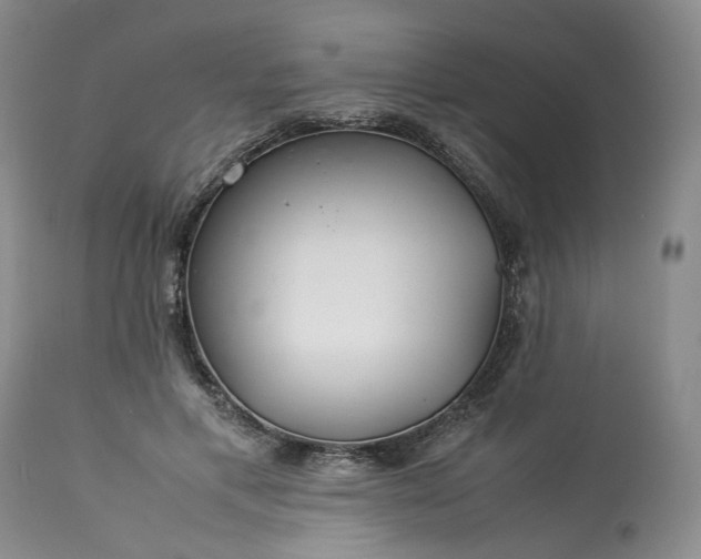 X0000113560597200910021556