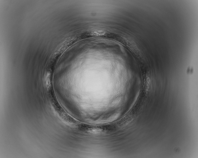 X0000113560598200910021556