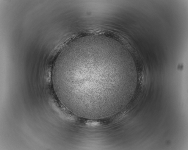 X0000113560602200910021556