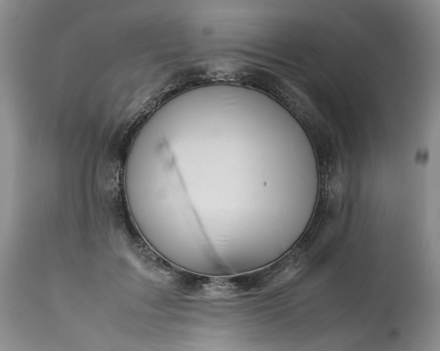 X0000113560603200910021556