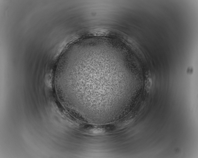 X0000113560604200910021556