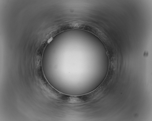 X0000113560605200910021556
