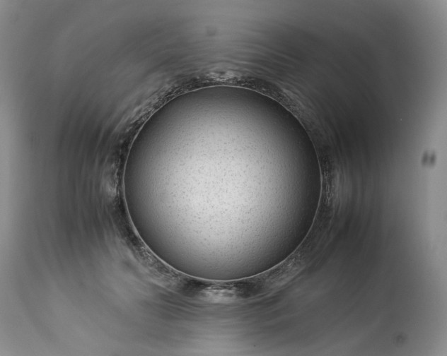 X0000113560606200910021556