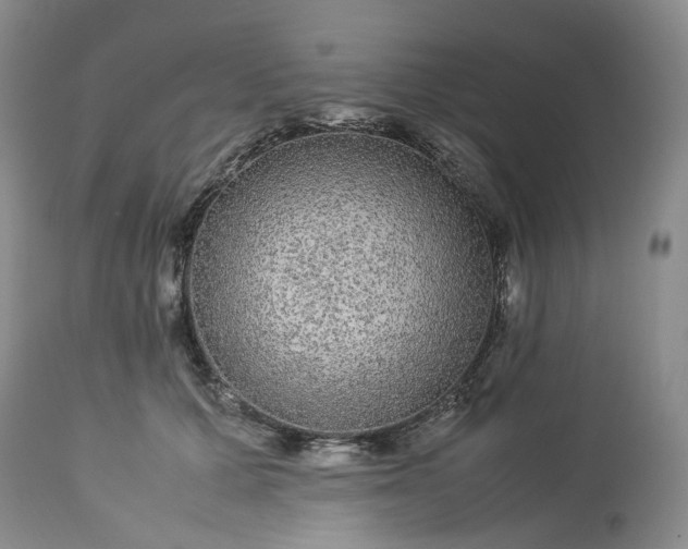 X0000113560607200910021556
