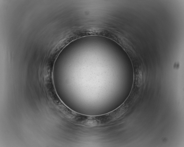 X0000113560608200910021556
