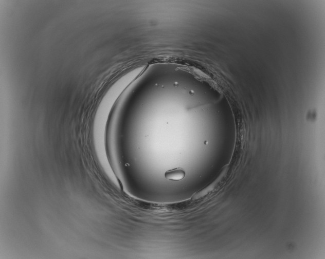 X0000113560611200910021556