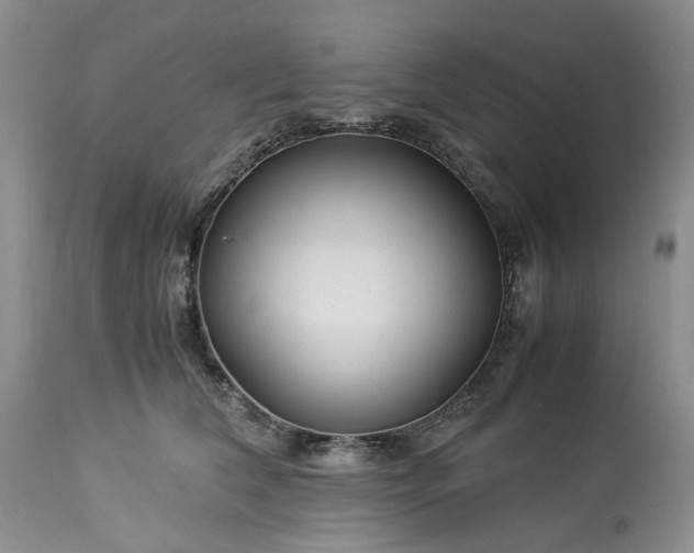 X0000113560612200910021556