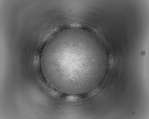 X0000113560614200910021556