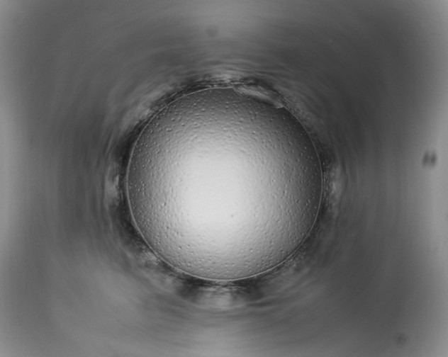 X0000113560615200910021556