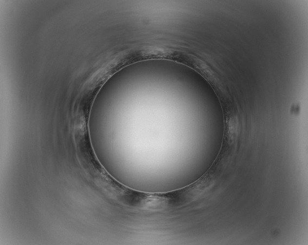 X0000113560617200910021556