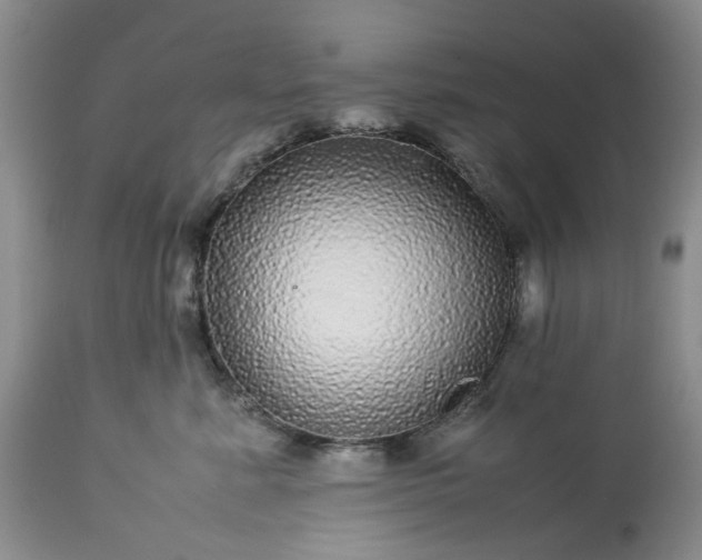 X0000113560619200910021556
