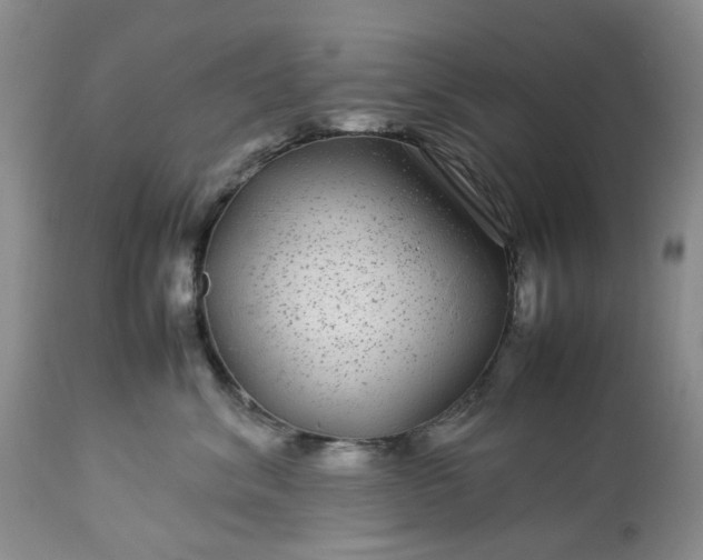 X0000113560620200910021556