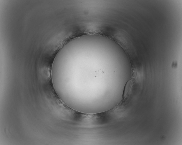 X0000113560621200910021556