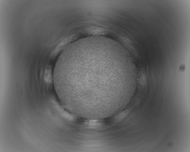 X0000113560622200910021556