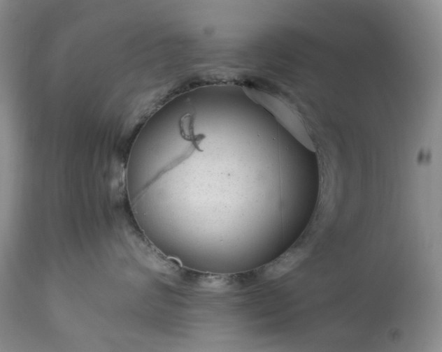 X0000113560624200910021556