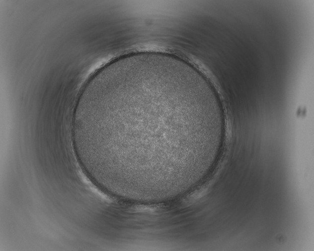 X0000113560625200910021555