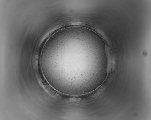X0000113560626200910021555