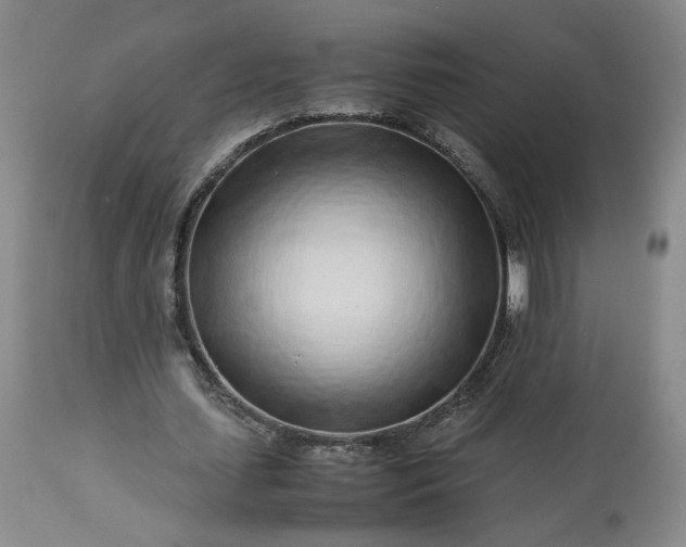 X0000113560627200910021555