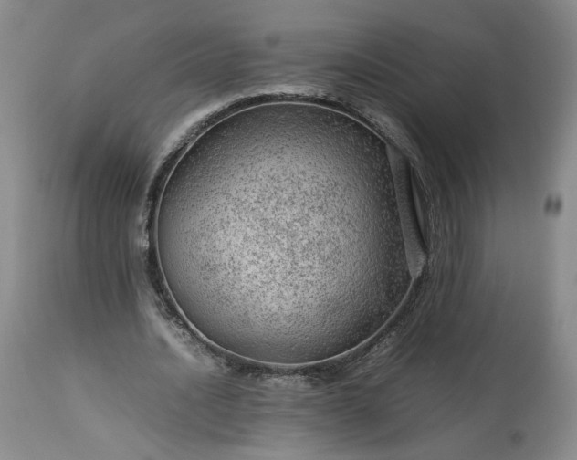 X0000113560628200910021555