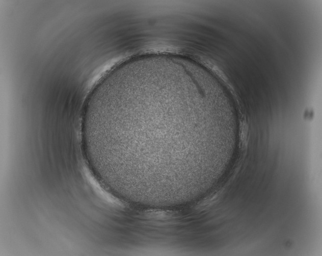 X0000113560629200910021555