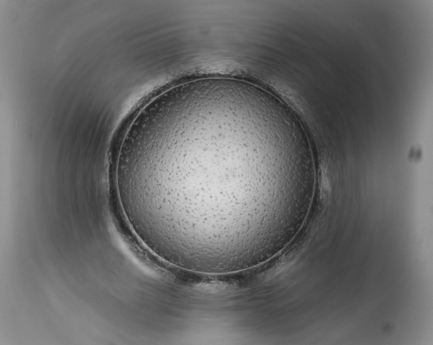 X0000113560630200910021555