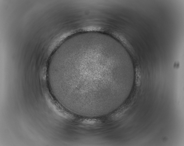 X0000113560631200910021555