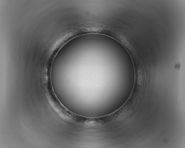X0000113560634200910021555