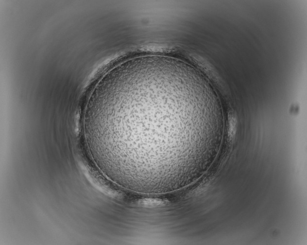 X0000113560636200910021555
