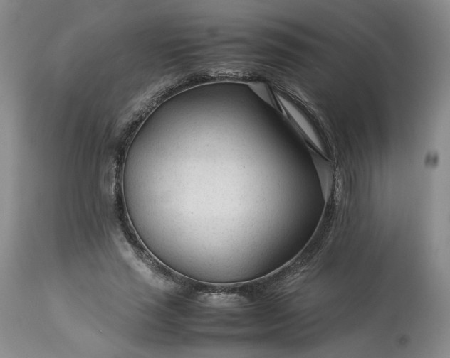 X0000113560637200910021555