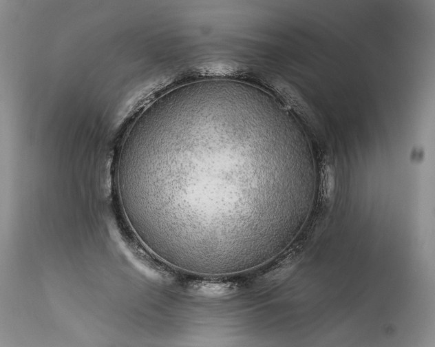 X0000113560638200910021555