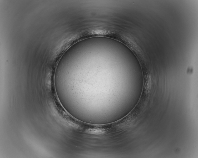 X0000113560639200910021555