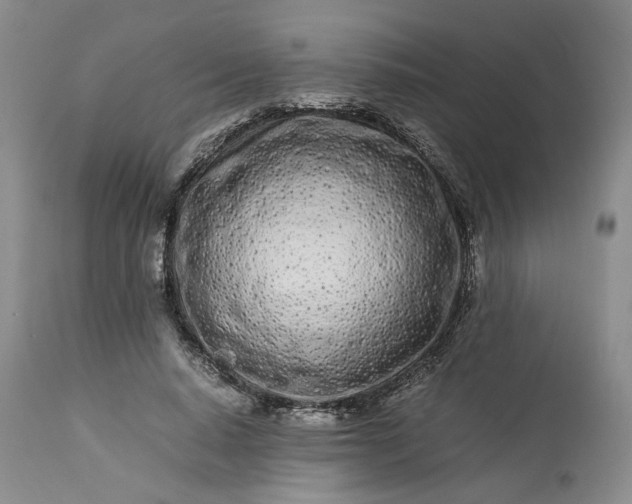 X0000113560640200910021555