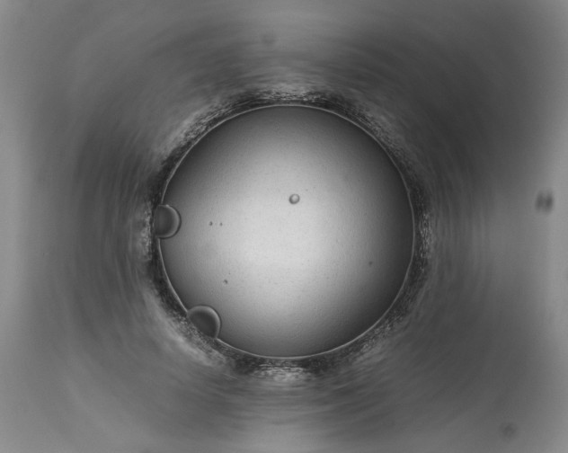 X0000113560642200910021555