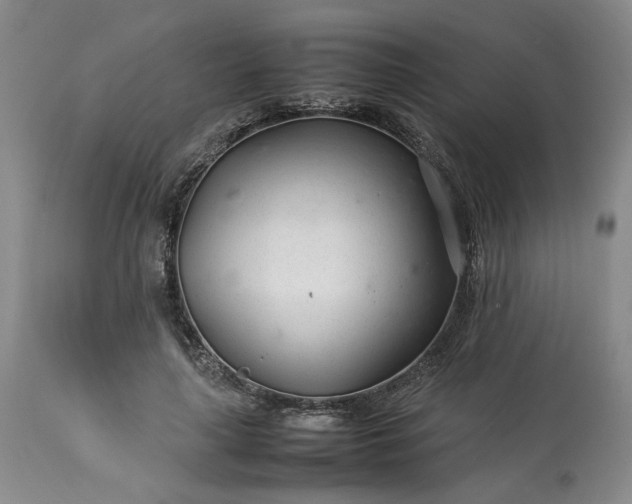 X0000113560643200910021555