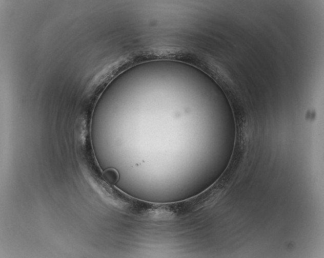 X0000113560644200910021555