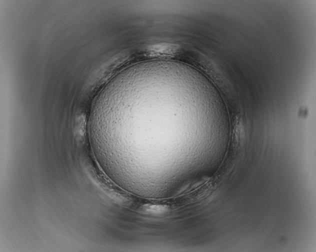 X0000113560649200910021555