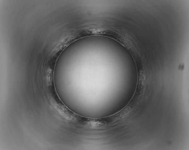 X0000113560650200910021555