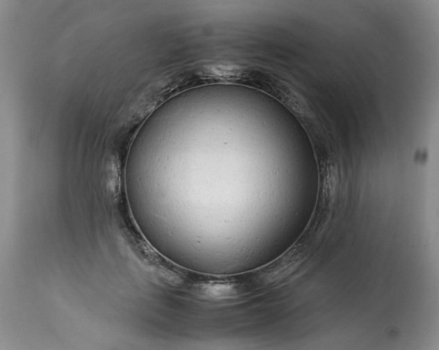 X0000113560651200910021555