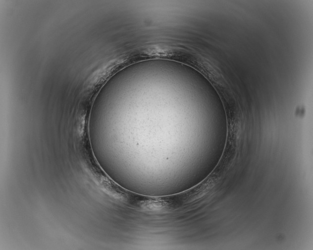 X0000113560652200910021555