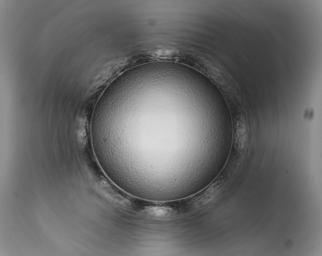 X0000113560654200910021555