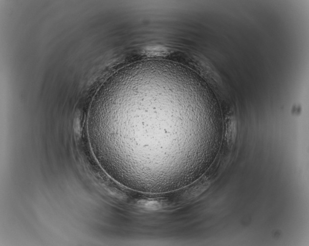X0000113560655200910021555