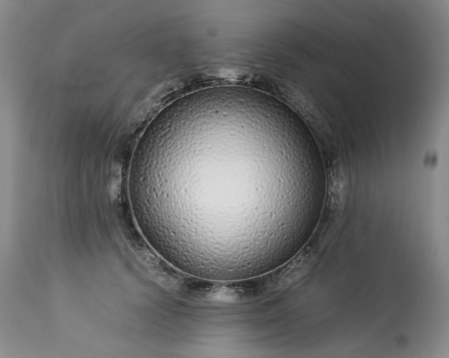 X0000113560656200910021556
