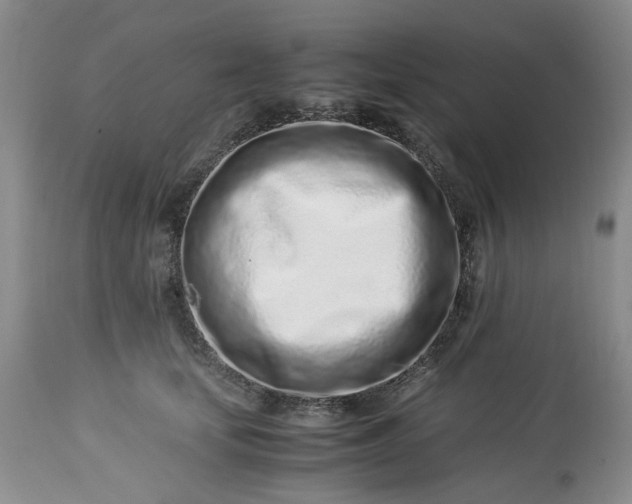 X0000113560659200910021556