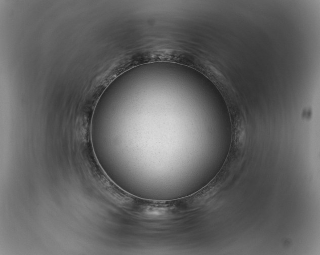 X0000113560661200910021556