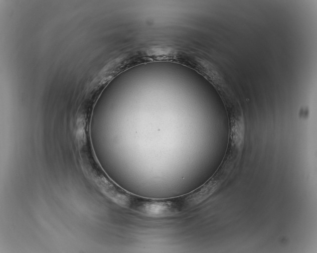 X0000113560662200910021556