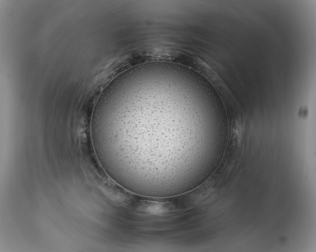 X0000113560663200910021556