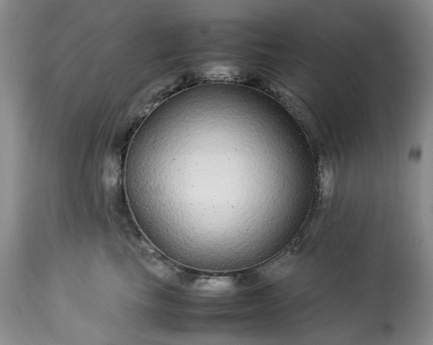 X0000113560665200910021556