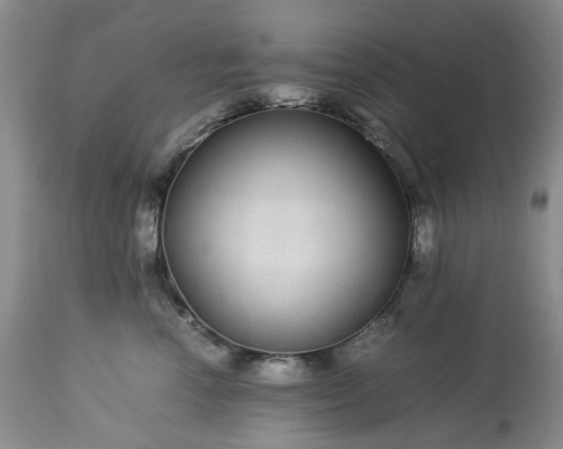 X0000113560666200910021556