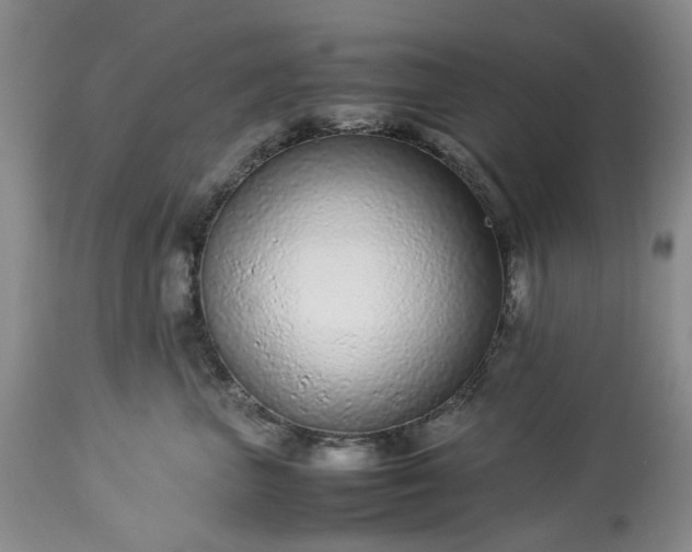X0000113560667200910021556